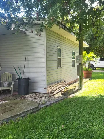 a view of a backyard with plants and large tree