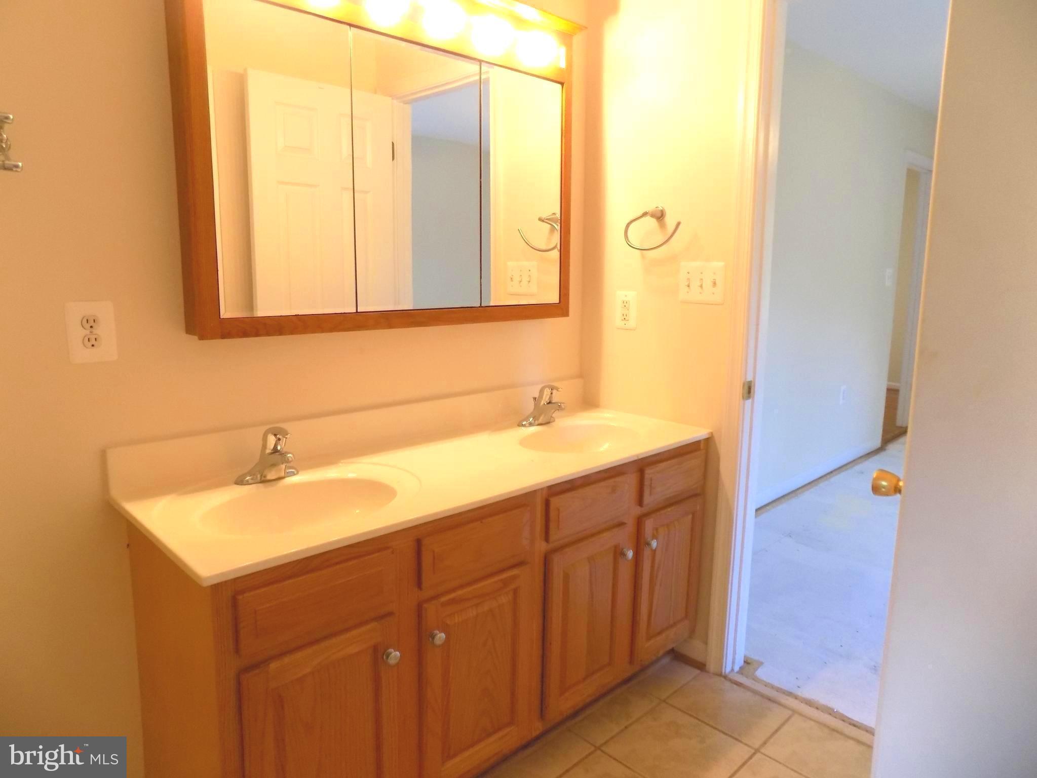 286 Grimes Golden Road Linden, VA 22642 - Photo 11 of 18 Master Bath
