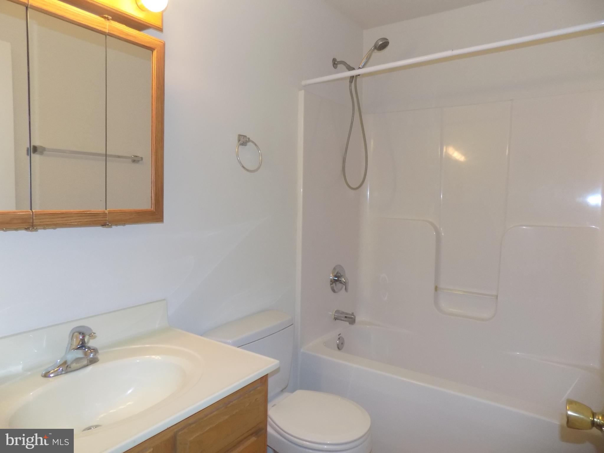 286 Grimes Golden Road Linden, VA 22642 - Photo 13 of 18 Bath