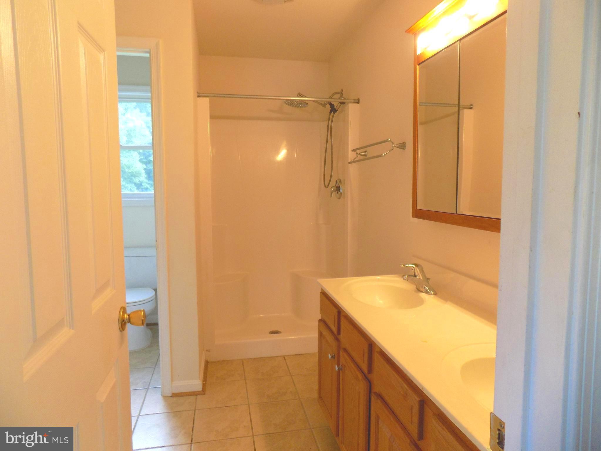 286 Grimes Golden Road Linden, VA 22642 - Photo 10 of 18 Large master bath