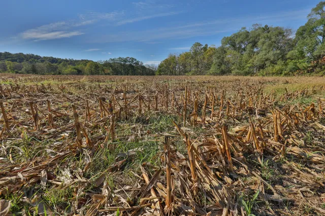 $156,380 | 22.34-ac Fulton Street, Lone Rock, WI 53556