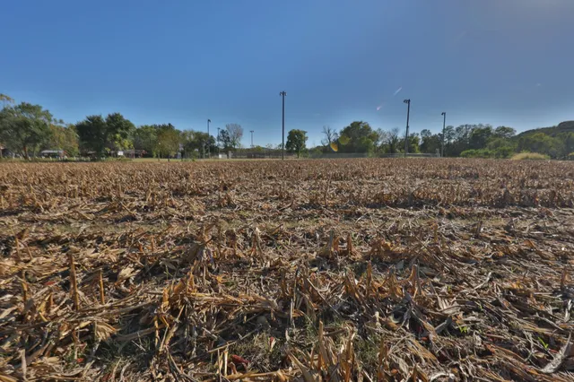 $156,380 | 22.34-ac Fulton Street, Lone Rock, WI 53556