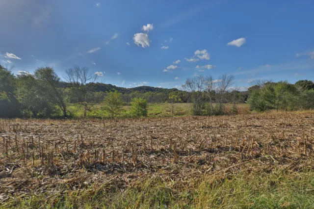 $156,380 | 22.34-ac Fulton Street, Lone Rock, WI 53556