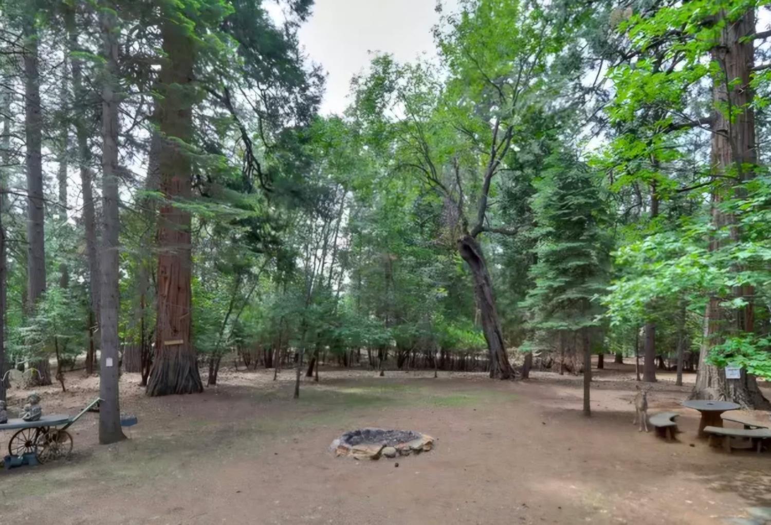 5695 Juarez Road Pollock Pines, CA 95726 - Photo 6 of 28