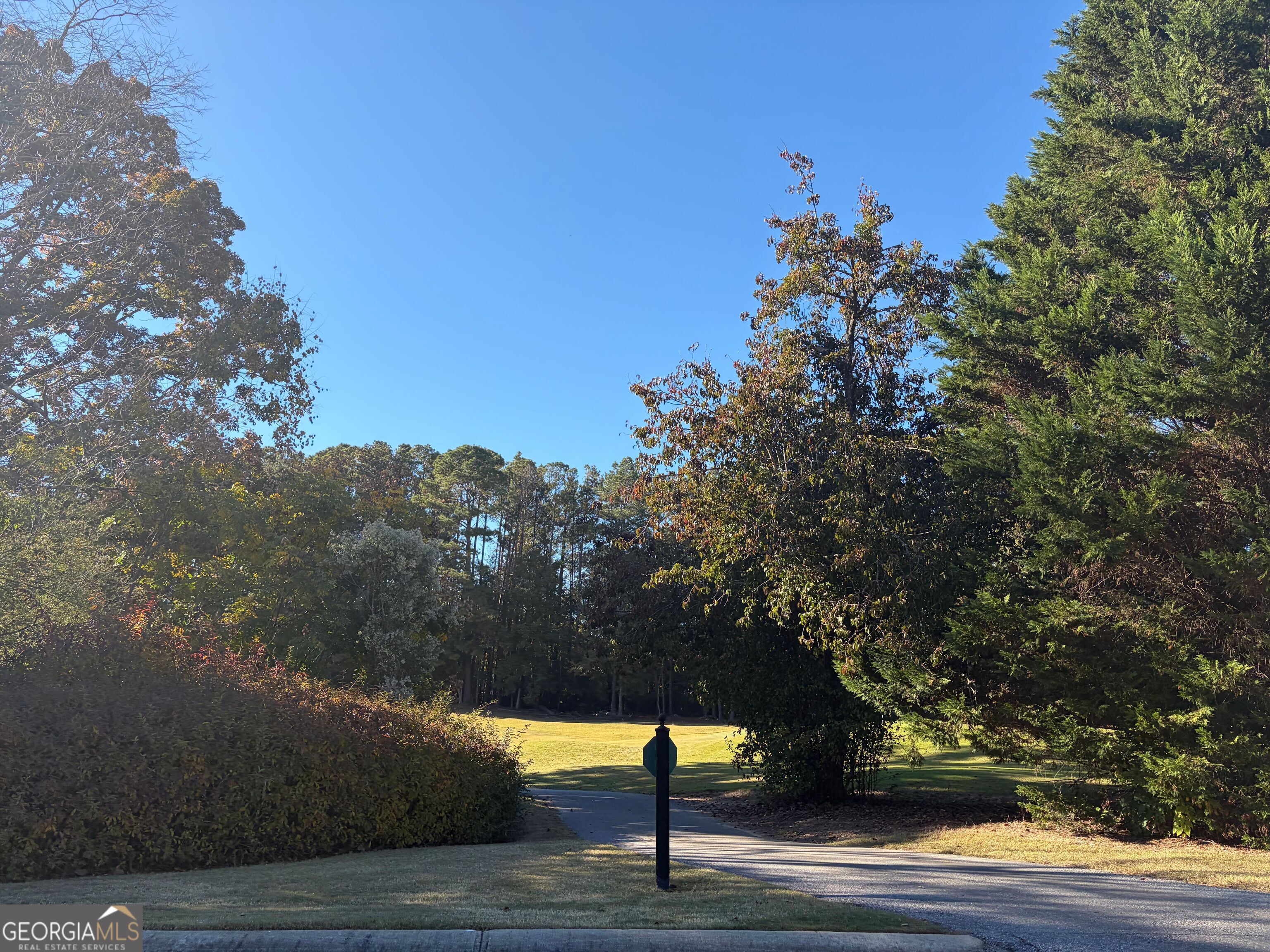 117 Covington Place Athens, GA 30606 - Photo 25 of 33 a view of street along with trees