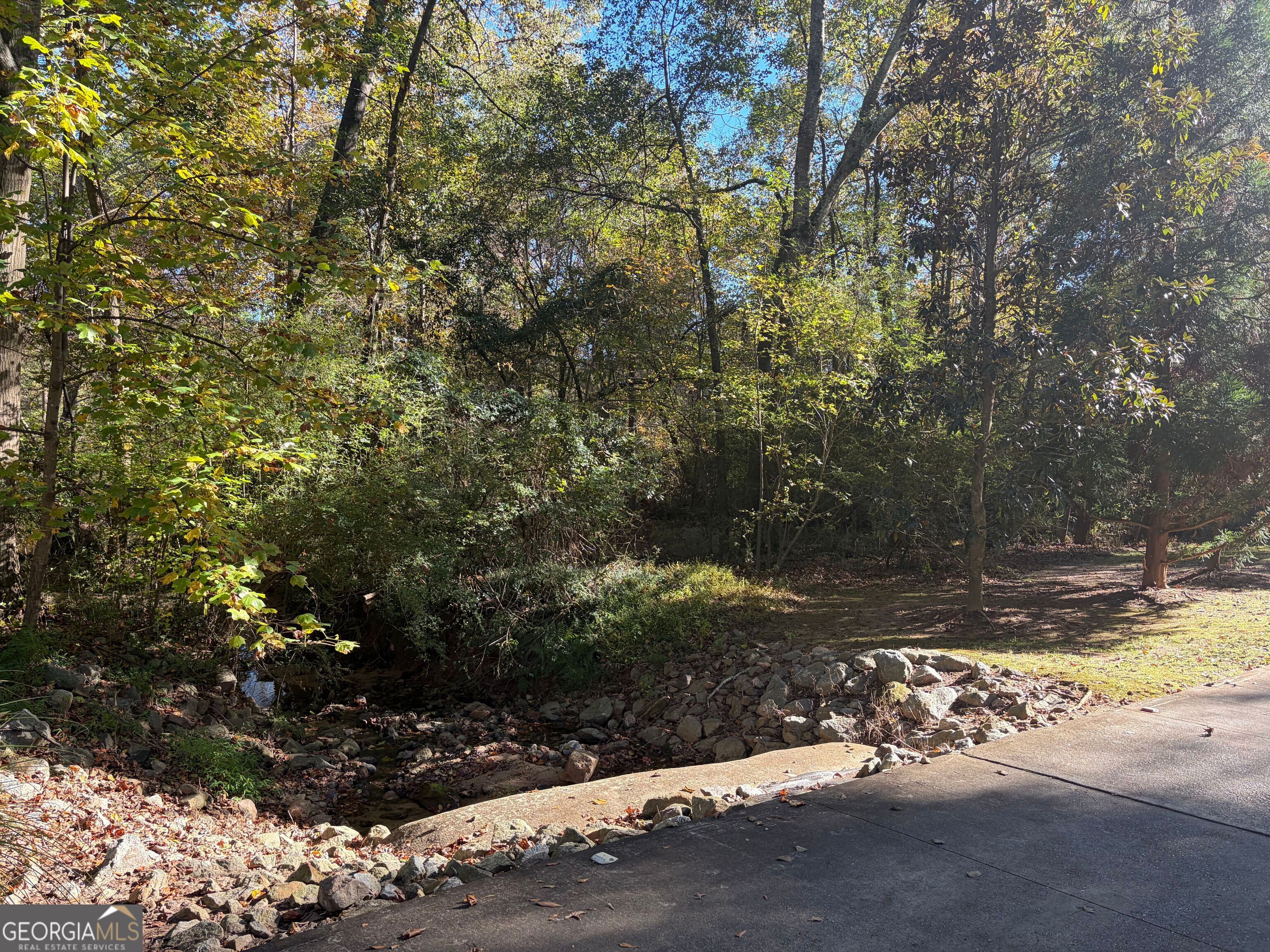 117 Covington Place Athens, GA 30606 - Photo 31 of 33 a view of a yard with large trees