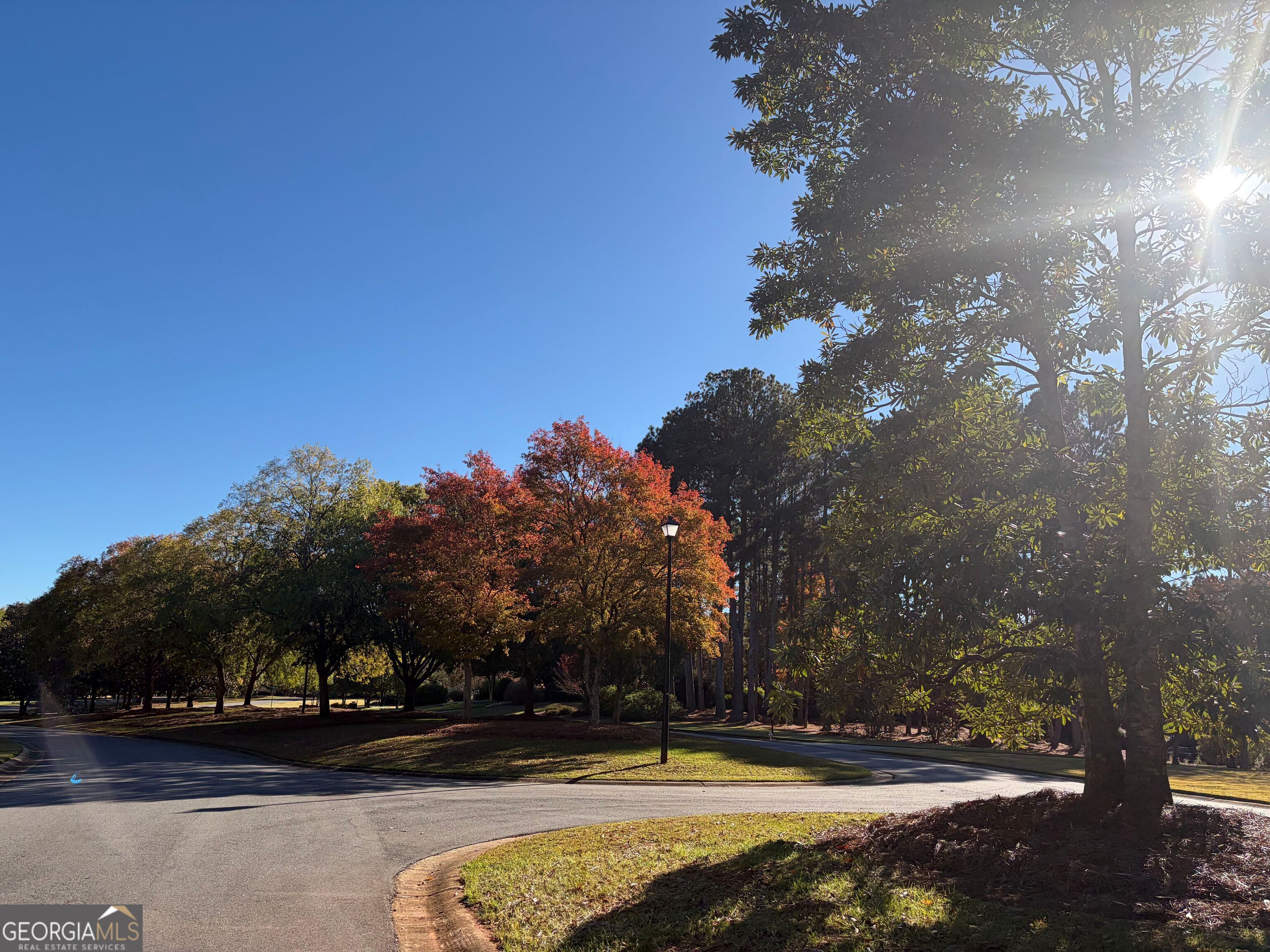 117 Covington Place Athens, GA 30606 - Photo 32 of 33 a view of swimming pool with outdoor seating and trees in the background