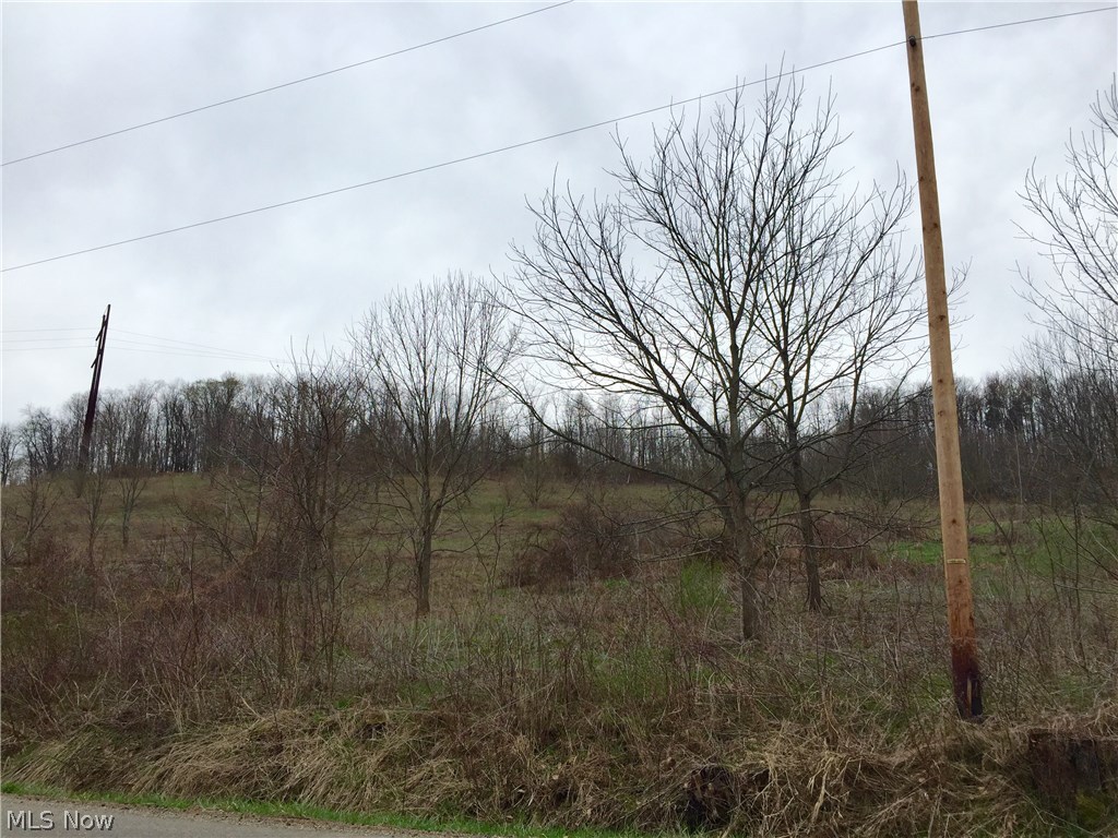 2 Canal Road Dover, OH 44622 - Photo 2 of 9 wonderful views of the landscape