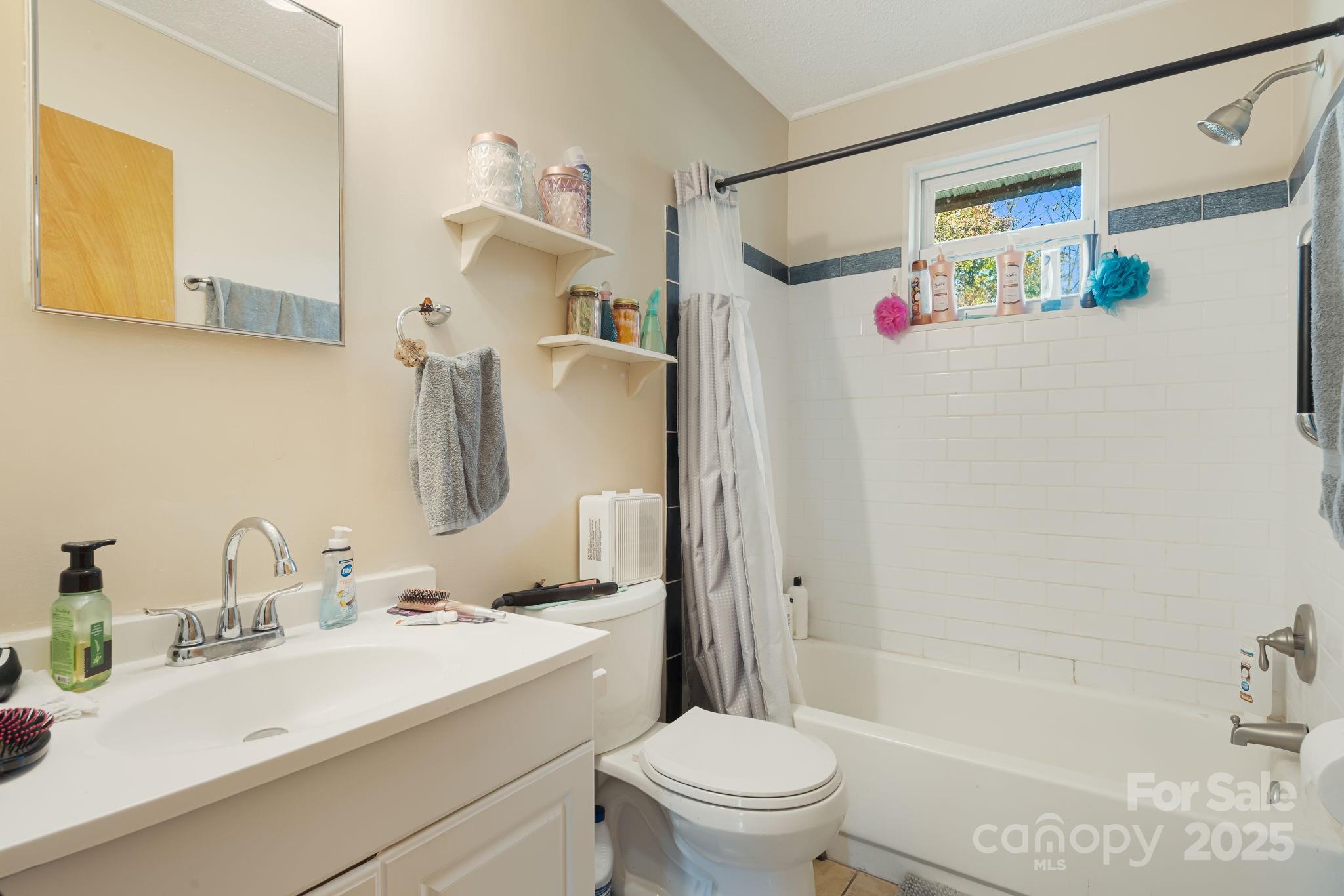 645 Flint Hill Road Alexander, NC 28701 - Photo 20 of 30 a bathroom with a sink vanity mirror and toilet