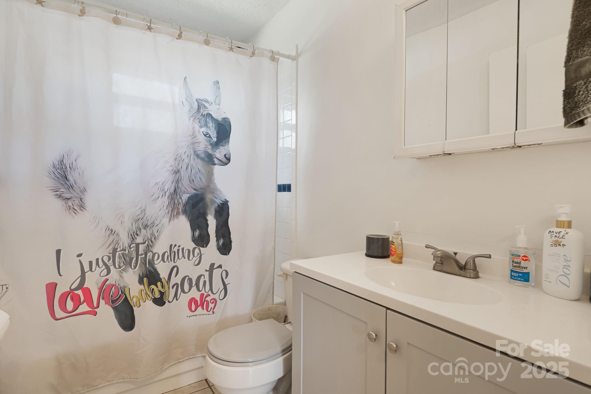 645 Flint Hill Road Alexander, NC 28701 - Photo 10 of 30 a bathroom with a sink a toilet and shower curtain