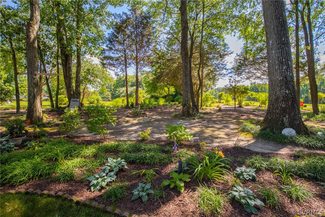8614 Old Brompton Road Chesterfield, VA 23832 - Photo 44 of 50