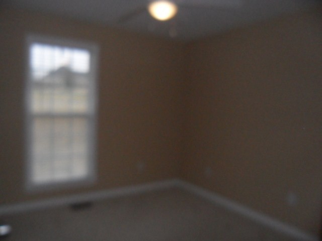 104 Trudy Lane Anderson, SC 29621 - Photo 8 of 17 Gallery Image 8