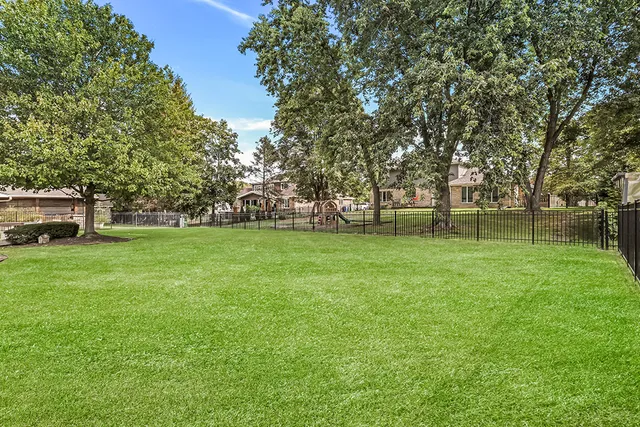 a view of a park with large trees