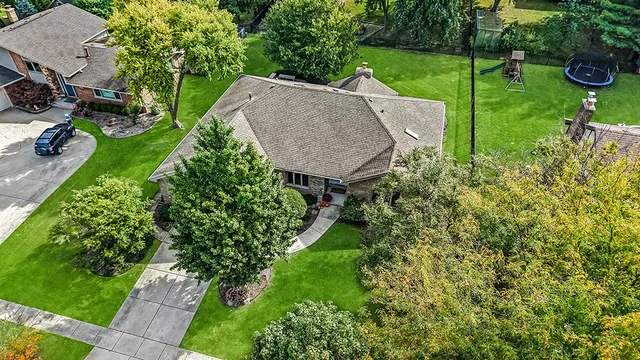 a view of a garden with plants