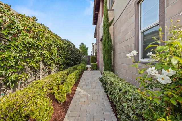 a view of a pathway with flower plants