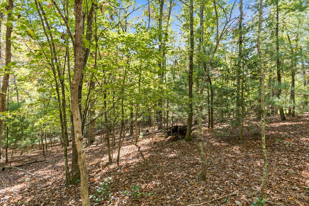 Lot 1-2 Timberlake Estates Blue Ridge, GA 30513 - Photo 12 of 20 Gallery Image 12