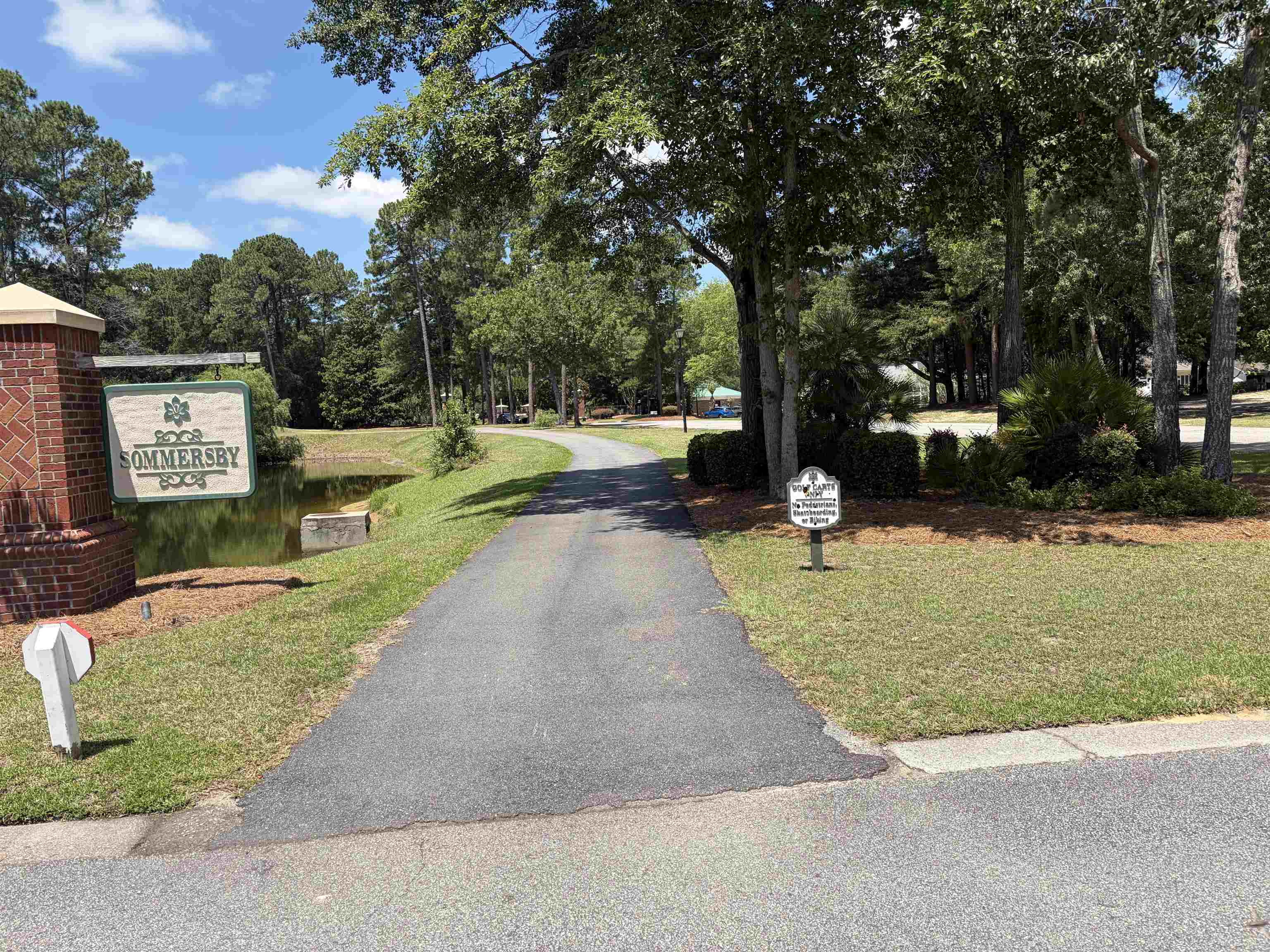 4502 Firethorne Drive Murrells Inlet, SC 29576 - Photo 51 of 66