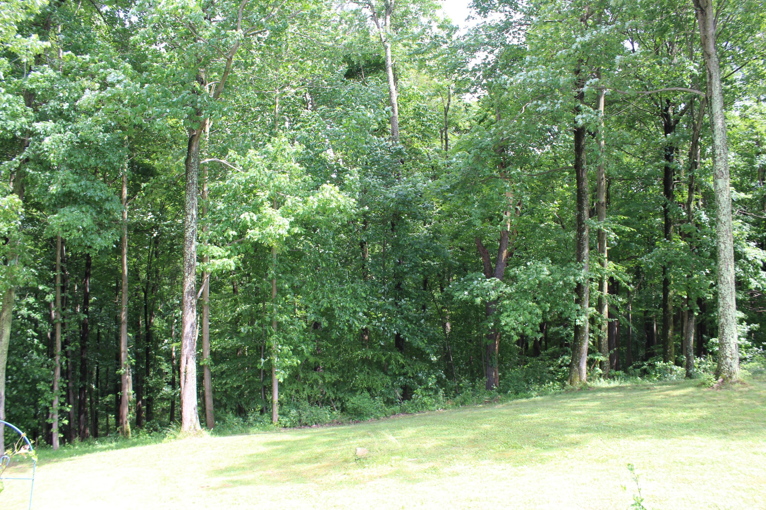 997 Eaton Hollow Road Southwest Lancaster, OH 43130 - Photo 50 of 79 Gallery Image 50