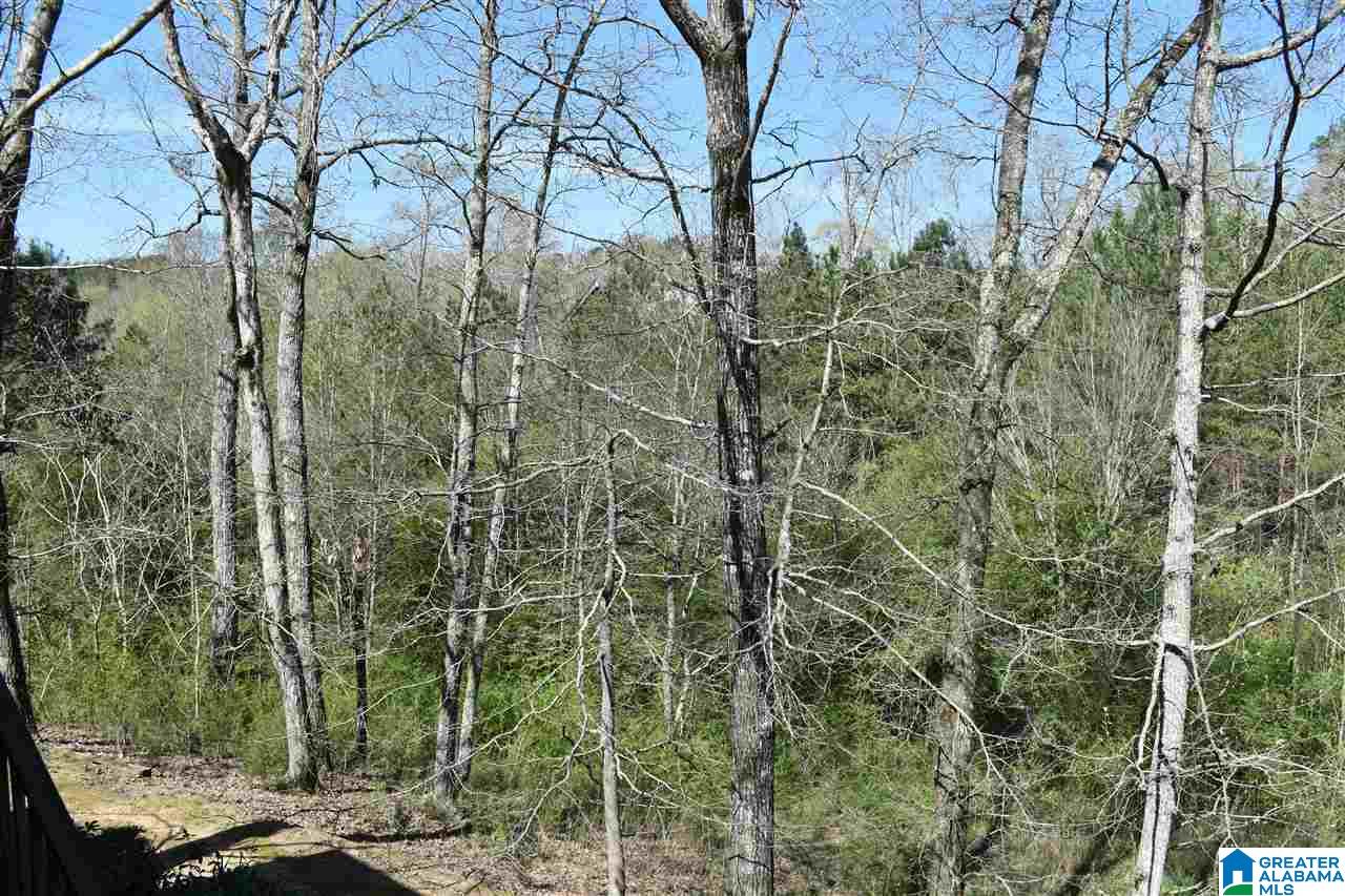 6180 Castle Lane Morris, AL 35116 - Photo 24 of 33
