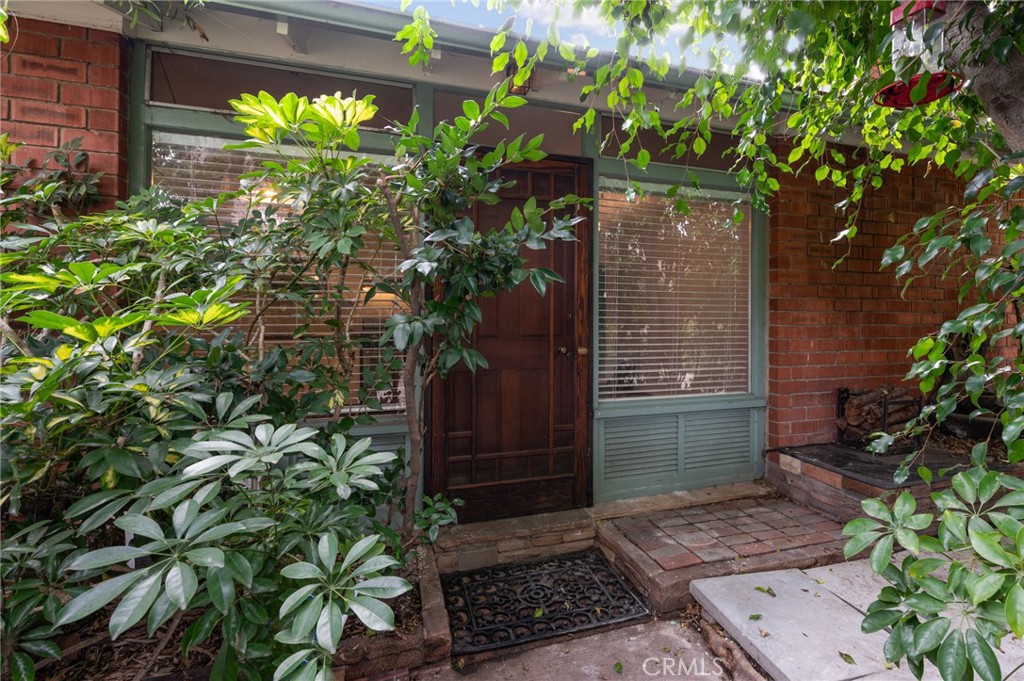 a view of a pathway with plants