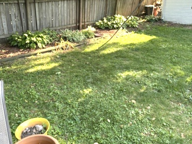 605 South Walnut Street Urbana, IL 61801 - Photo 7 of 19