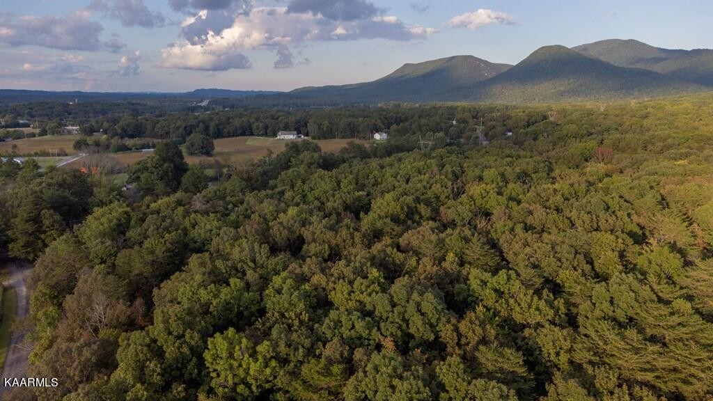 2 Boyd Road Benton, TN 37307 - Photo 7 of 7