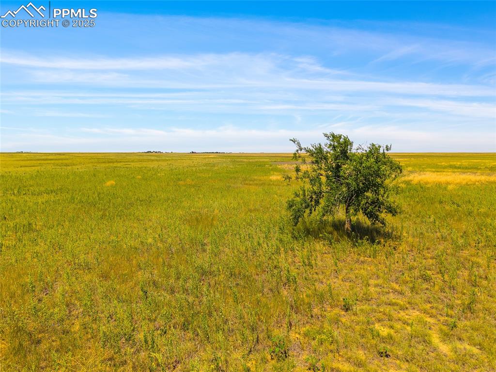 4 County Road 2 Rush, CO 80833 - Photo 2 of 27