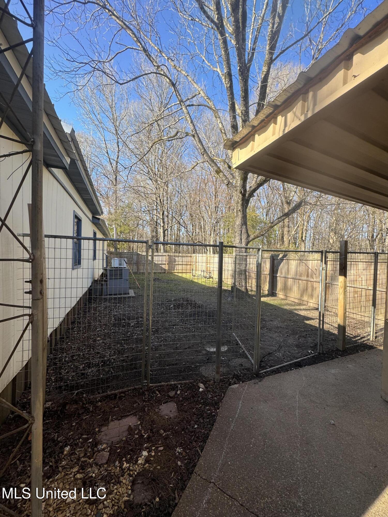 407 Collins Road Sardis, MS 38666 - Photo 3 of 20 Entrance to Backyard
