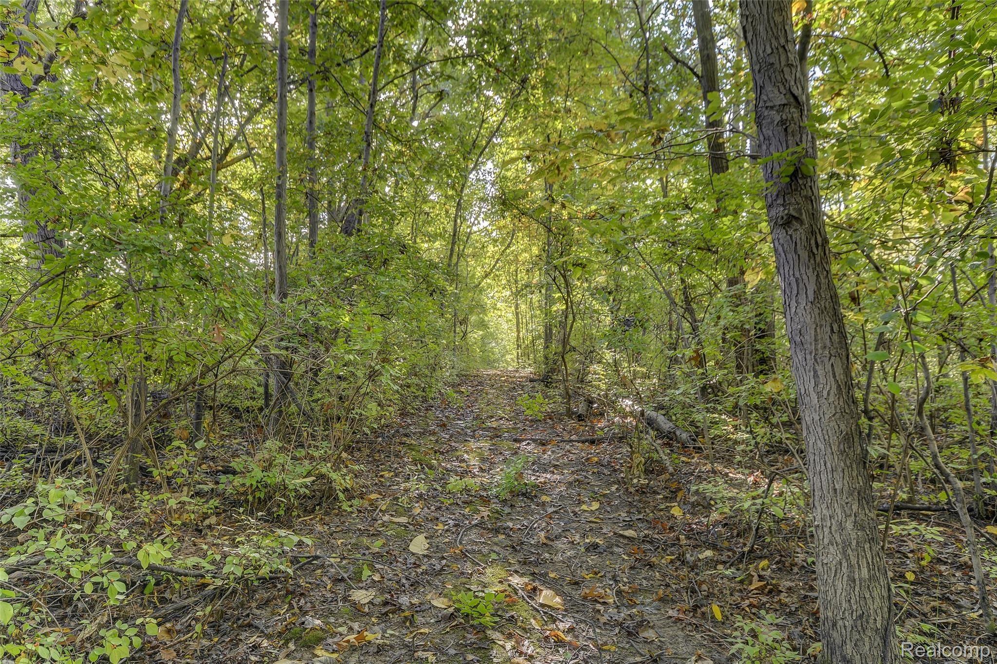 13923 Sheridan Road Manchester, MI 48158 - Photo 50 of 60 Sheridan_52.jpg