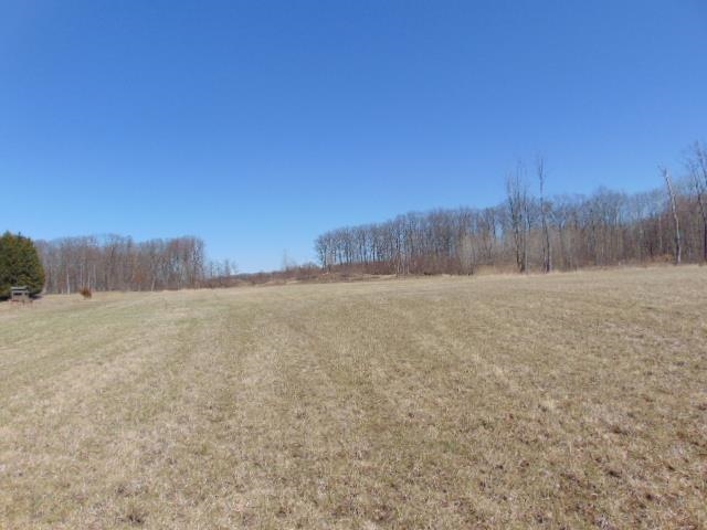 4526 North Union Road Alma, MI 48801 - Photo 9 of 14