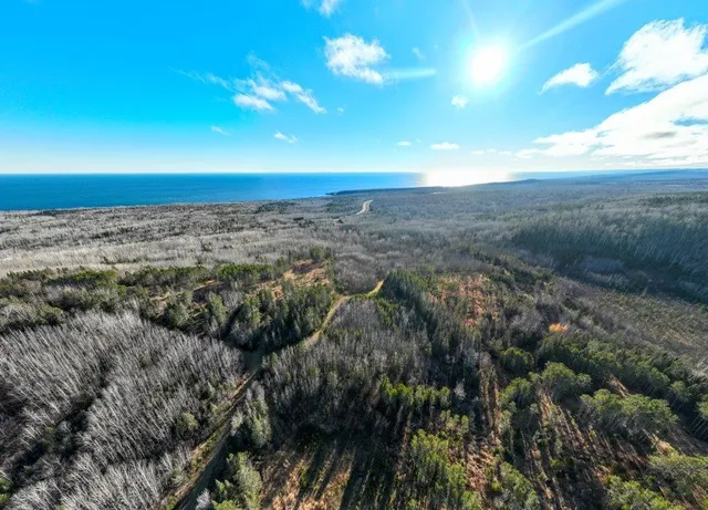 $1,200,000 | Abc Bally Creek Road, Grand Marais, MN 55604