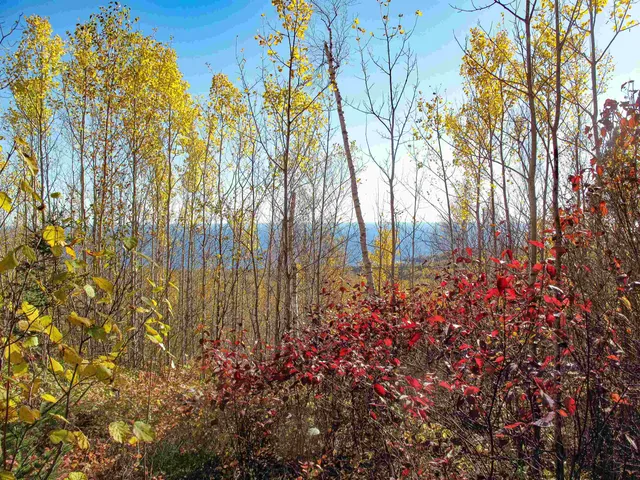 $1,200,000 | Abc Bally Creek Road, Grand Marais, MN 55604