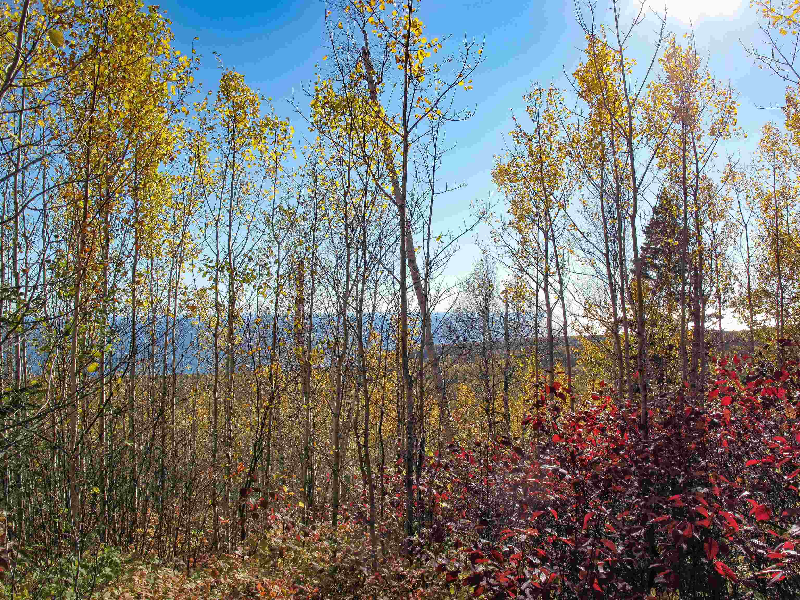 Abc Bally Creek Road Grand Marais, MN 55604 - Photo 16 of 72