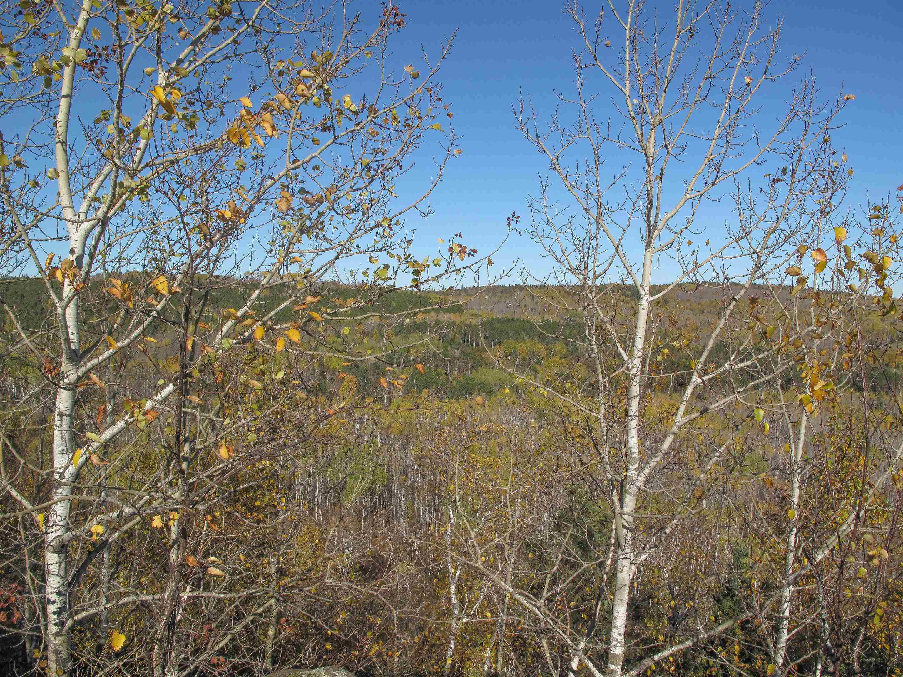 Abc Bally Creek Road Grand Marais, MN 55604 - Photo 24 of 72