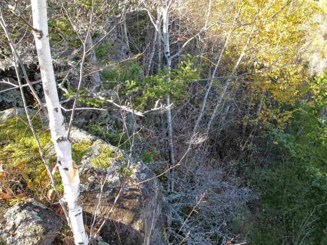 $1,200,000 | Abc Bally Creek Road, Grand Marais, MN 55604