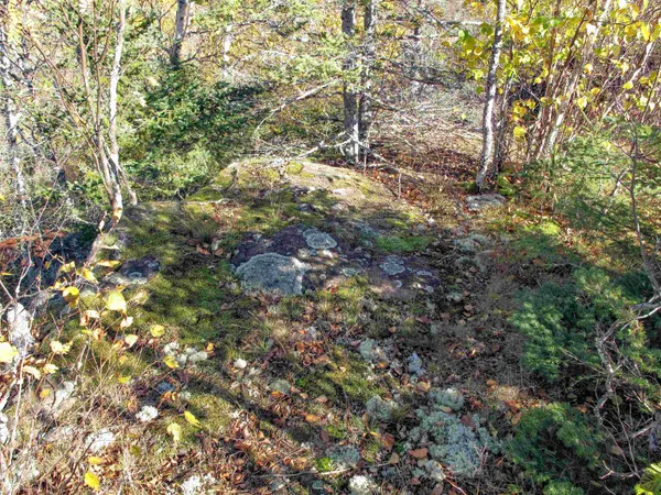 $1,200,000 | Abc Bally Creek Road, Grand Marais, MN 55604