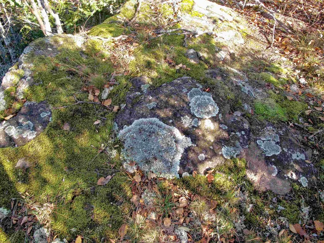 $1,200,000 | Abc Bally Creek Road, Grand Marais, MN 55604