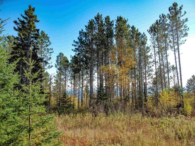 $1,200,000 | Abc Bally Creek Road, Grand Marais, MN 55604