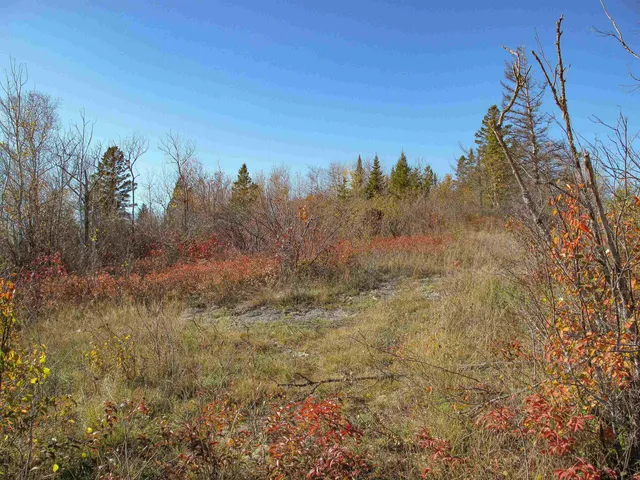 $1,200,000 | Abc Bally Creek Road, Grand Marais, MN 55604