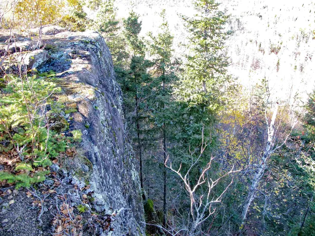 $1,200,000 | Abc Bally Creek Road, Grand Marais, MN 55604