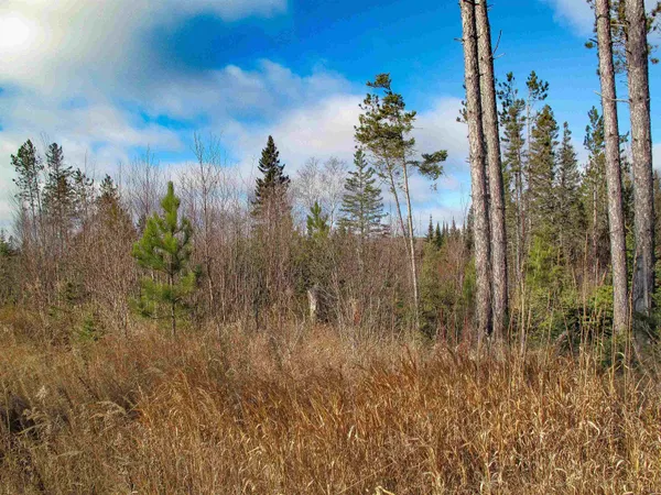 $1,200,000 | Abc Bally Creek Road, Grand Marais, MN 55604