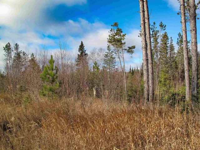 $1,200,000 | Abc Bally Creek Road, Grand Marais, MN 55604