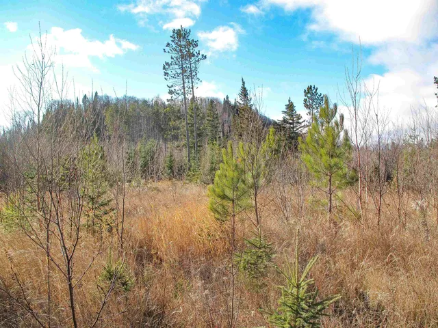 $1,200,000 | Abc Bally Creek Road, Grand Marais, MN 55604