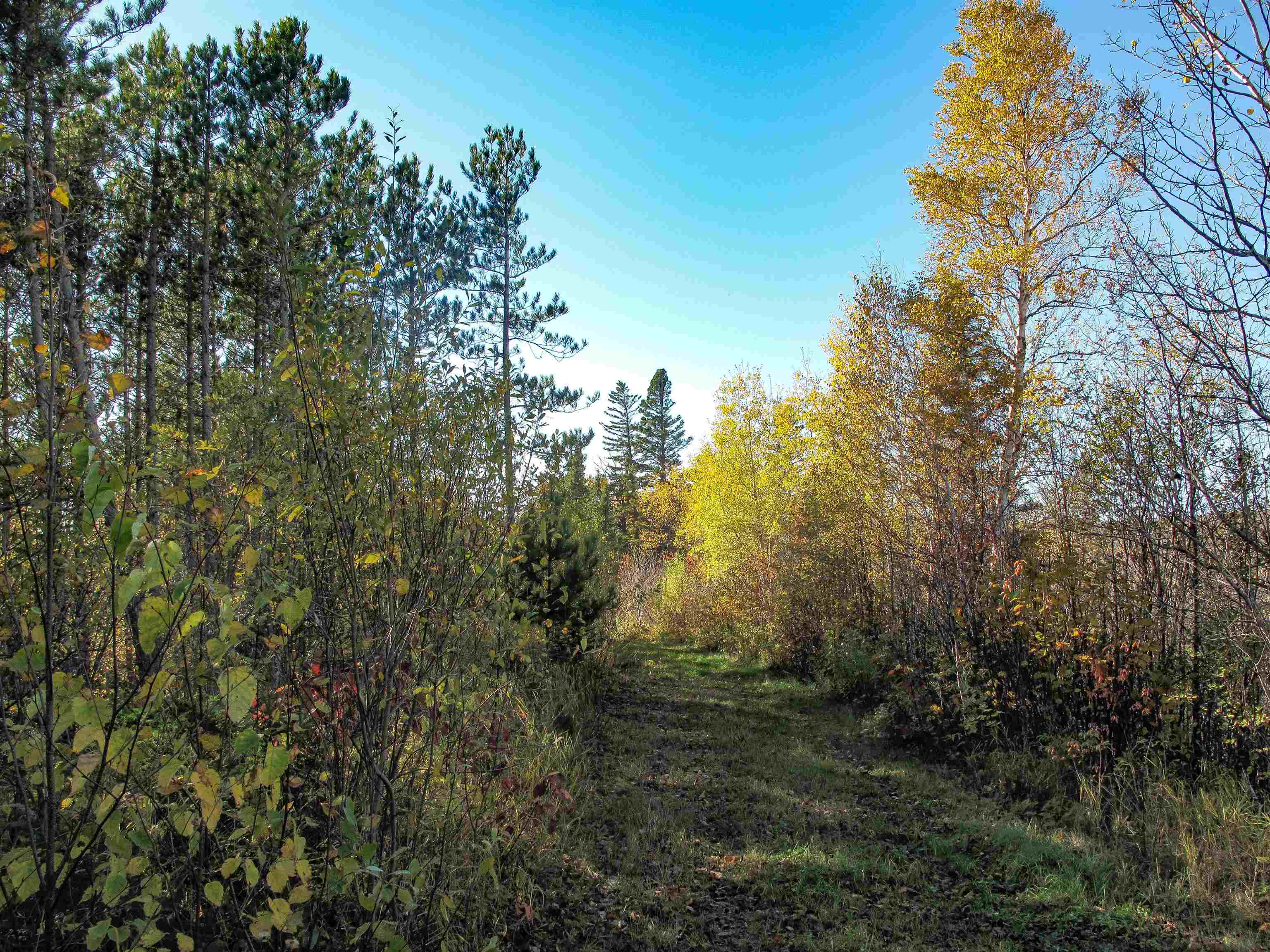 Abc Bally Creek Road Grand Marais, MN 55604 - Photo 38 of 72