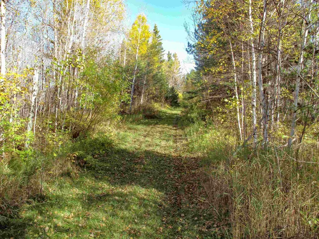 $1,200,000 | Abc Bally Creek Road, Grand Marais, MN 55604