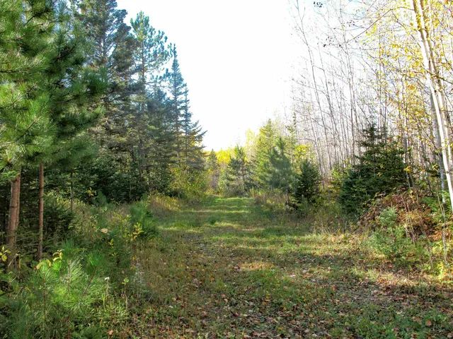 $1,200,000 | Abc Bally Creek Road, Grand Marais, MN 55604