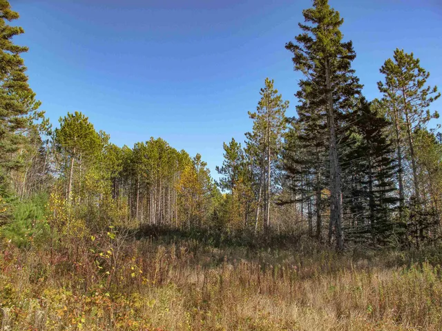 $1,200,000 | Abc Bally Creek Road, Grand Marais, MN 55604