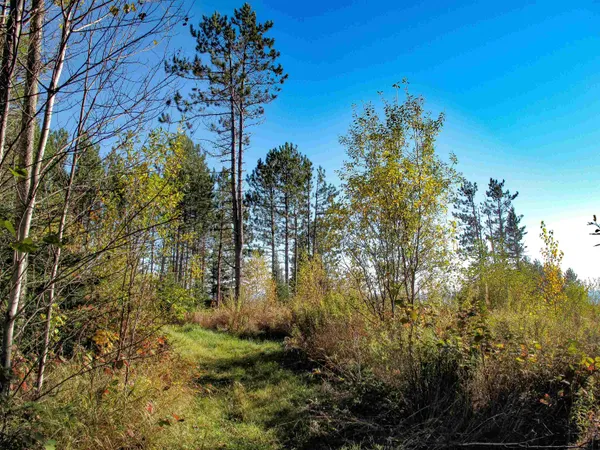 $1,200,000 | Abc Bally Creek Road, Grand Marais, MN 55604