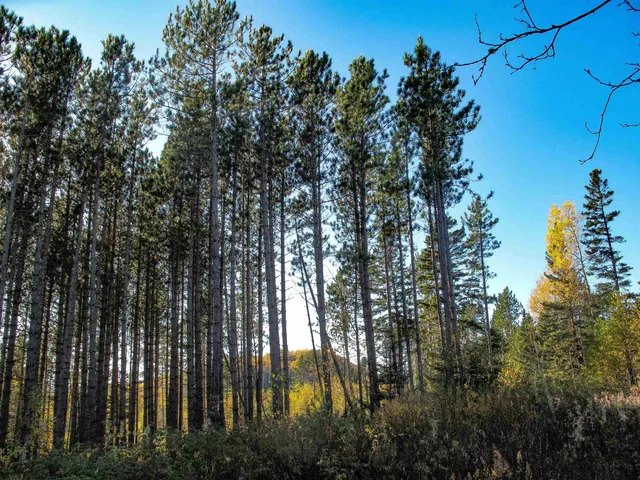 $1,200,000 | Abc Bally Creek Road, Grand Marais, MN 55604