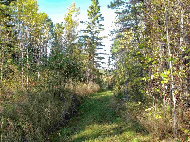 $1,200,000 | Abc Bally Creek Road, Grand Marais, MN 55604